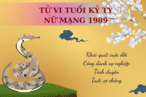 Kỷ Tỵ 1989 nữ mạng