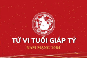 Tử vi trọn đời tuổi Giáp Tý 1984 nam mạng