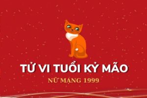 Tổng quan về tử vi tuổi Kỷ Mão 1999 nam mạng