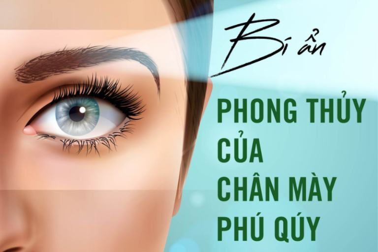 tướng lông mày nam phú quý