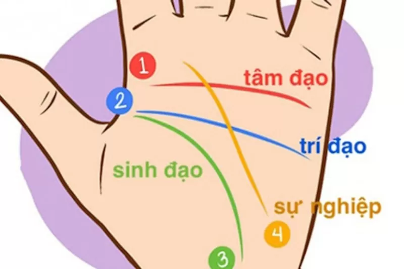 Ý nghĩa của chỉ tay chữ M