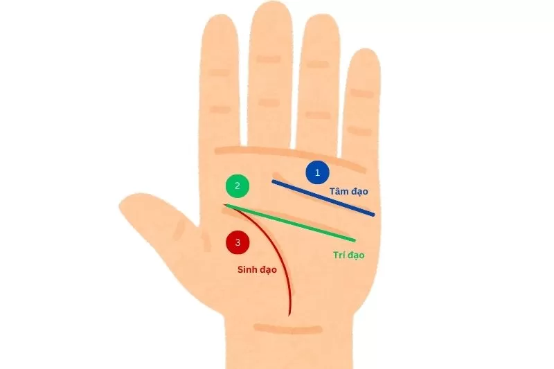 Đường chỉ tay đứt đoạn: Luận đoán một cuộc đời biến động? 