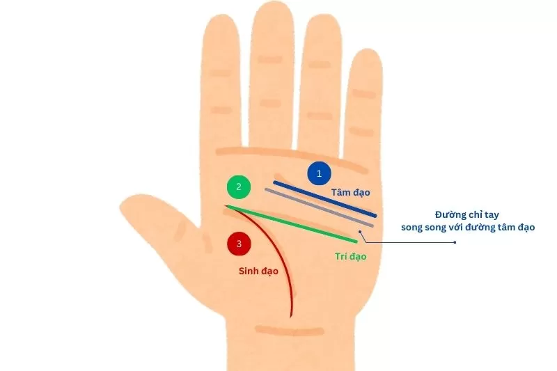 ĐƯỜNG CHỈ TAY SONG SONG: DẤU HIỆU CỦA NGƯỜI ĐỘC LẬP VÀ SỰ NGHIỆP THÀNH CÔNG