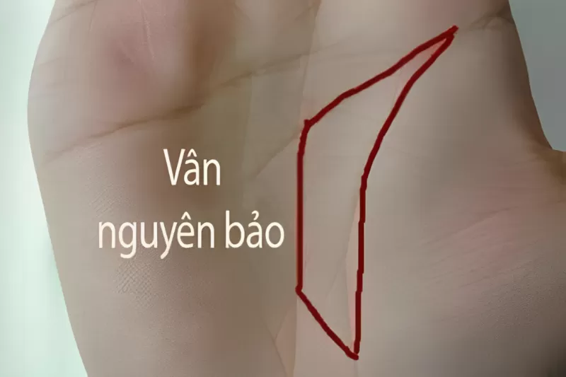 Đường chỉ tay thỏi vàng