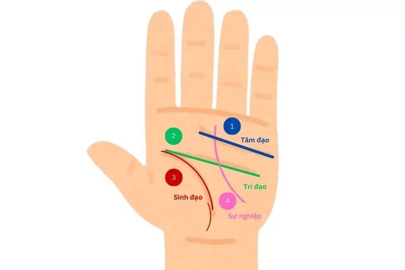 Nhận Diện Những Đường Chỉ Tay Xấu Có Thể Làm Cuộc Đời Trắc Trở